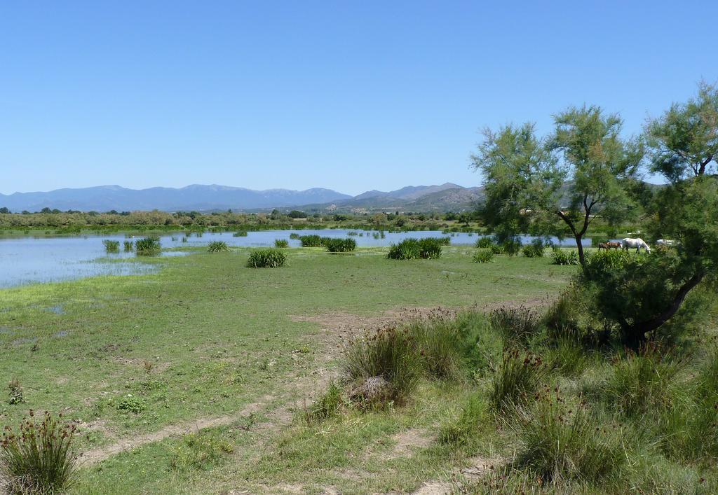 Hotel Can Ceret Sant Pere Pescador Esterno foto